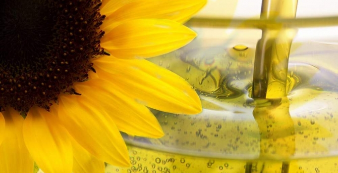 Yağlık ayçiçeği üretiminde düşüş beklentisi