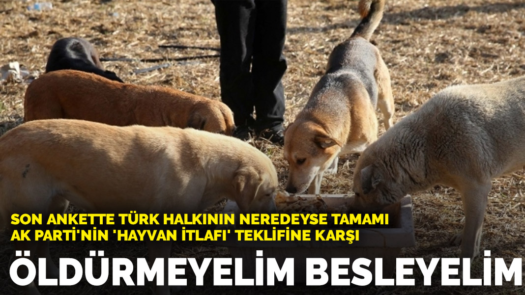 Son ankette Türk halkının neredeyse tamamı AK Parti'nin 'hayvan itlafı'