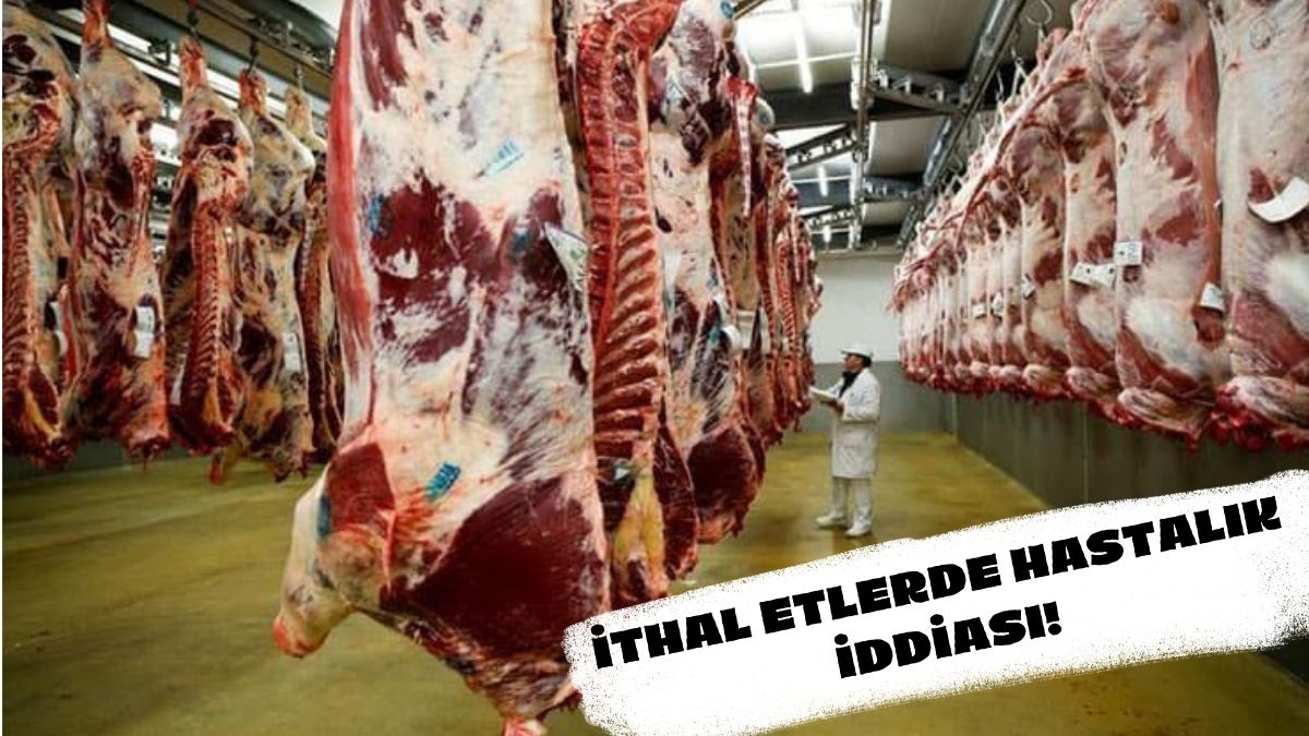 Pahalı diye yiyemiyorduk şimdi hastalıktan alamayacağız Türkiye'ye gelen etlerde hastalık