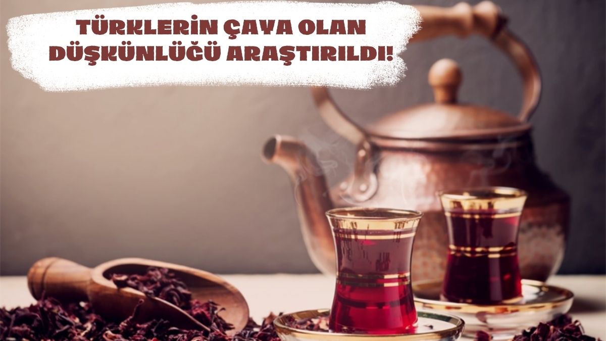 Türk çayının sırrını İtalyanlar çözdü! Türkler bile bunu bilmiyor... Araştırma sonucu herkesi şaşırttı