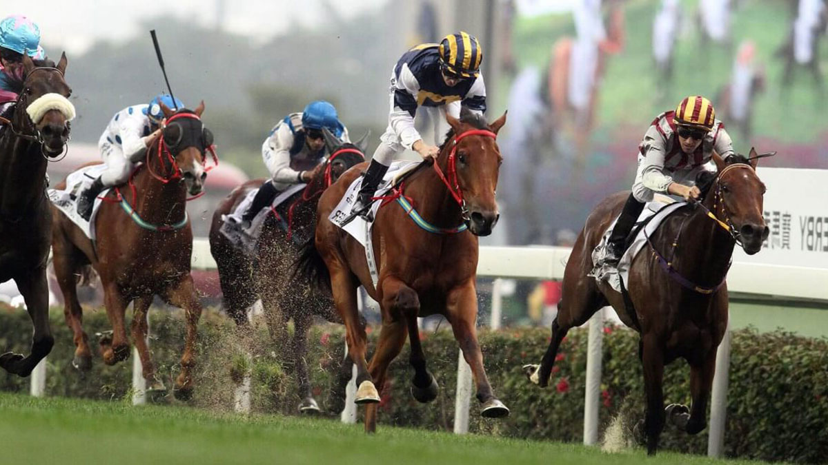 At yarışlarında artık o ifade kullanılmayacak! Yönetmelikte değişikliğe gidildi