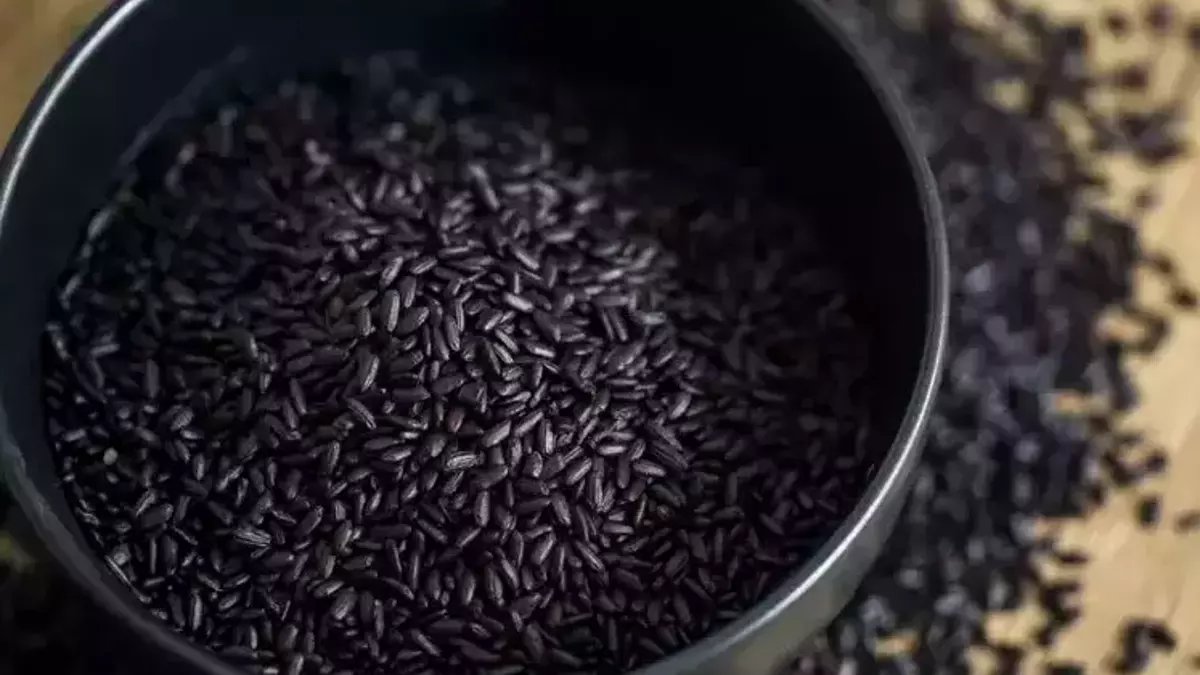 Türkiye'de sadece bir ilde yetişiyor, Avrupa ve Uzak Doğu kapışarak alıyor! Siyah pirinç nelere iyi gelir?