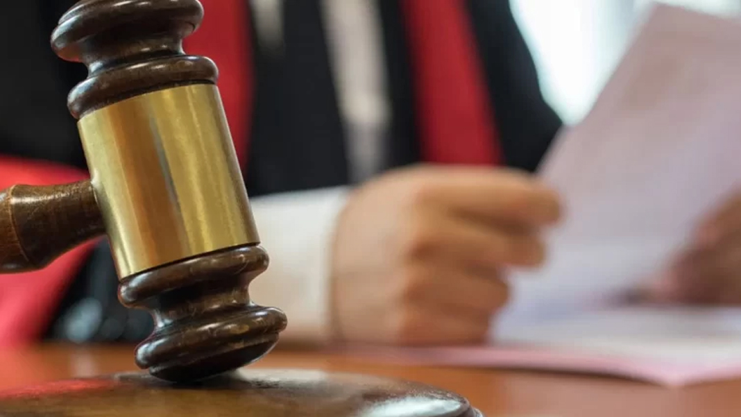 Mahkemeden 'başıboş köpek' kararı: Belediye sorumlu