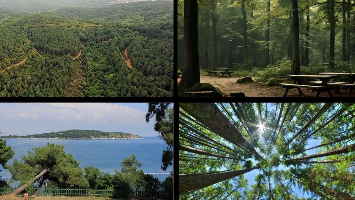 İstanbul'da o alanlara girmek yasaklandı! Valilikten son dakika açıklaması: Listedeki bu yerlere adım bile atmayın