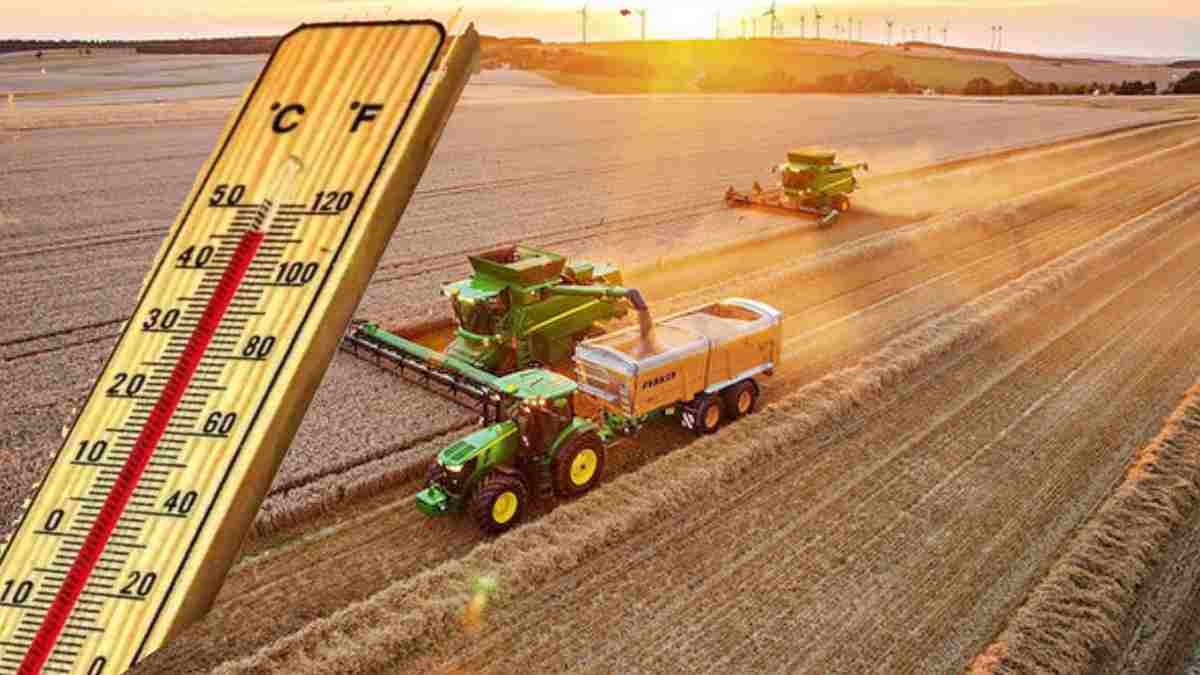 La-Nina çiftçileri perişan edecek! O ürünlerde fiyatlar patlayacak uyarısı... Fiyatları altınla yarışacak