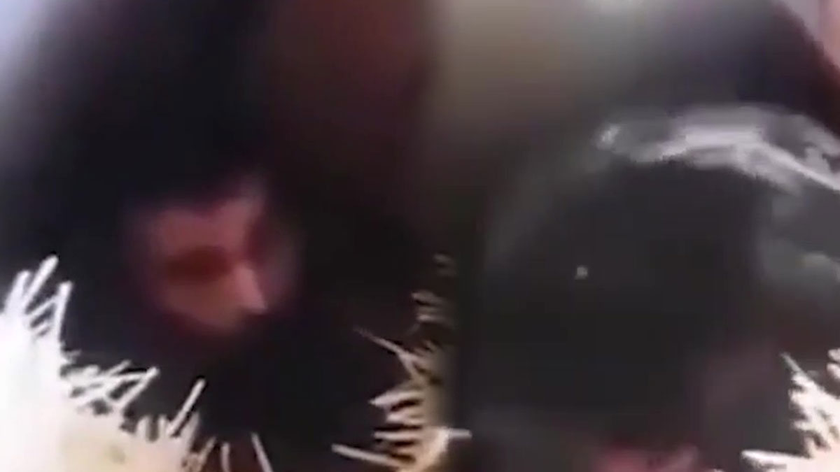 17 yaşında kaybolan çocuk, 44 yaşındayken komşusunun samanlığından çıktı! Hayrete düşüren olay...