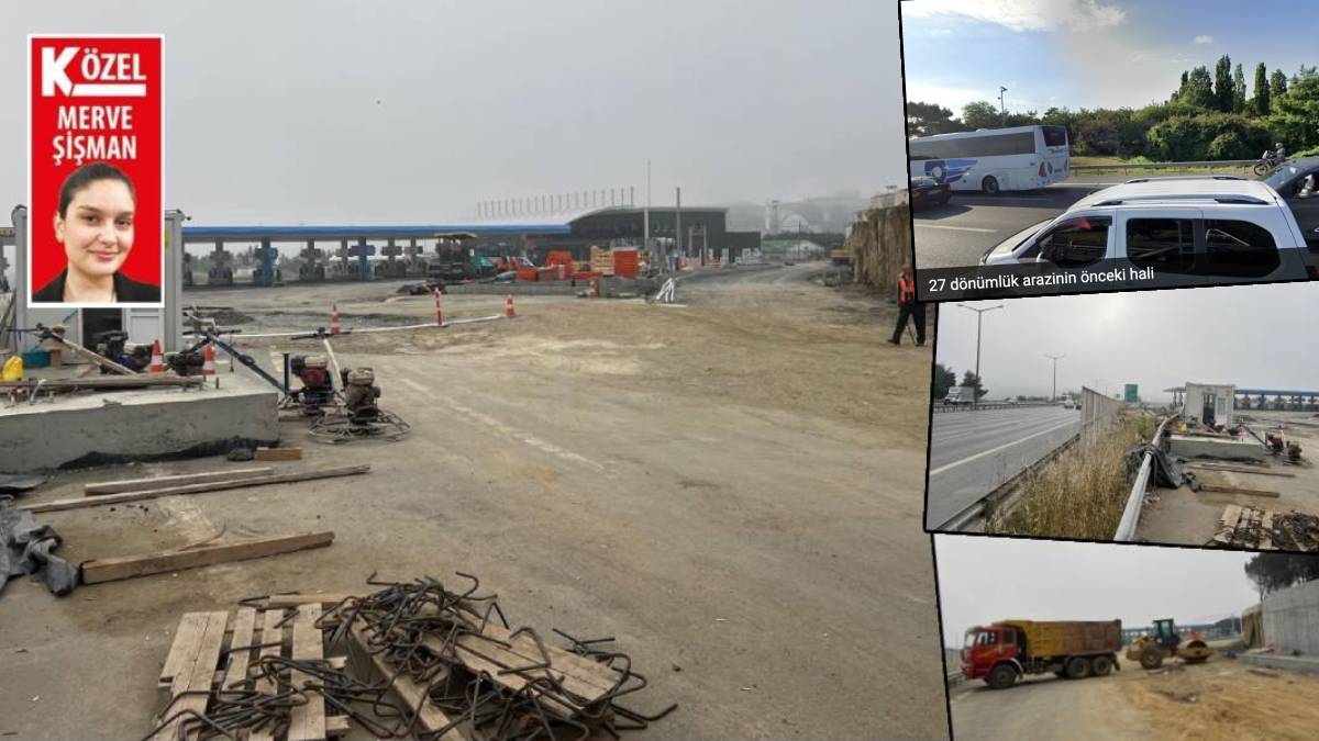 Yüzlerce ağaç ranta kurban