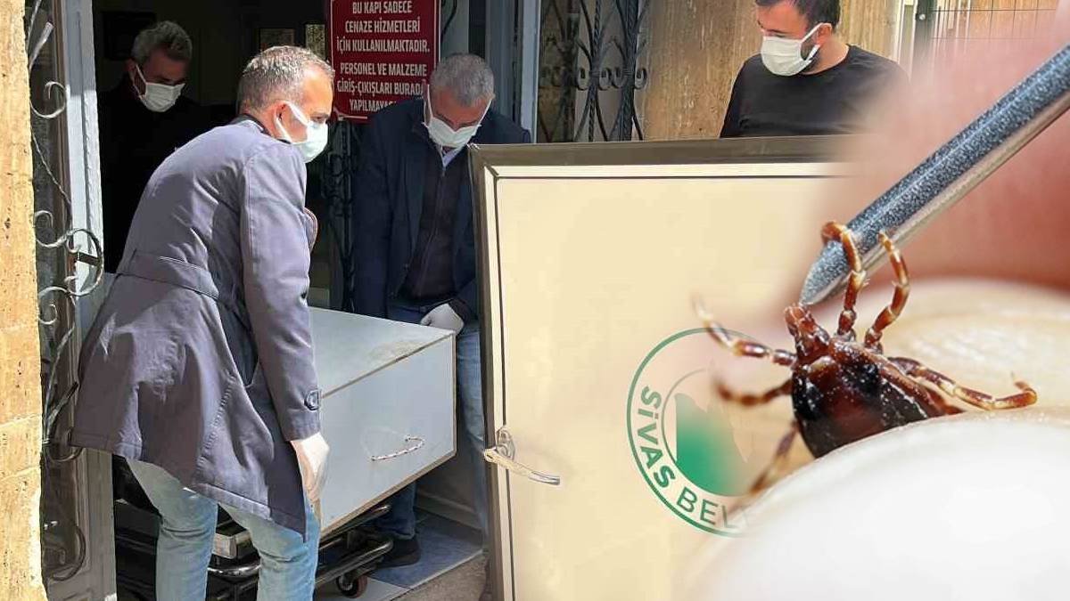 Sivas'ta kene kabusu... Ölenlerin sayısı 3'e yükseldi