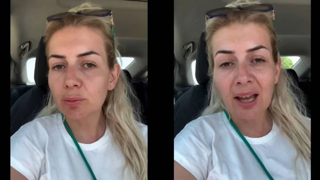 Şanlıurfa’daki köpekleri Ankara’ya getiren kişilere gözaltı