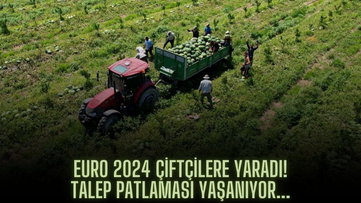 Avrupa Futbol Şampiyonası'yla talepler patlıyor! EURO 2024 çiftçilerin yüzünü güldürdü