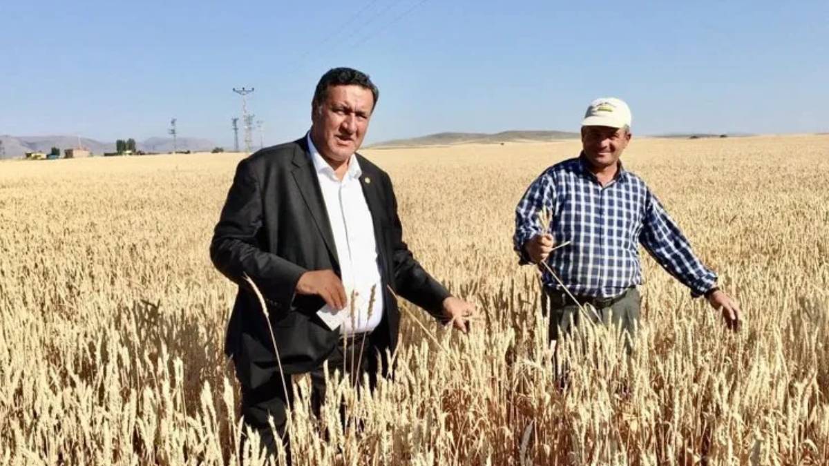 CHP'li Gürer: Buğday alım fiyatı 15 bin TL/ton olarak revize edilsin