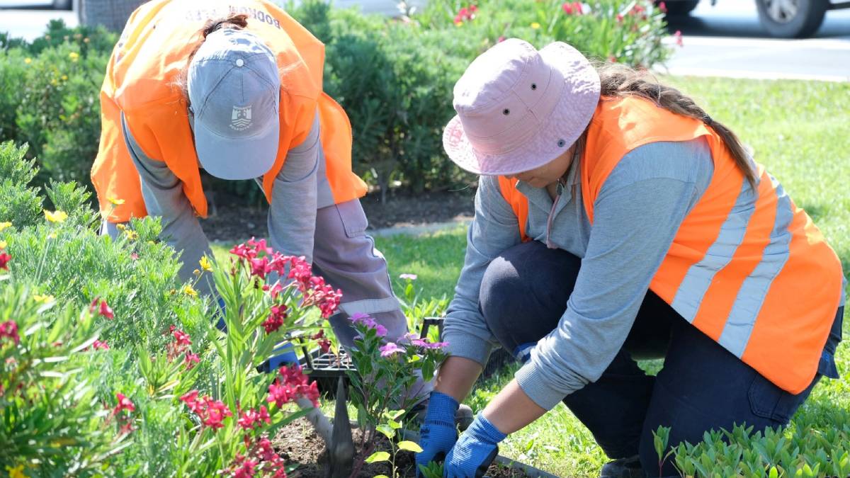 Kavşak ve refüjlere yaz dokunuşları
