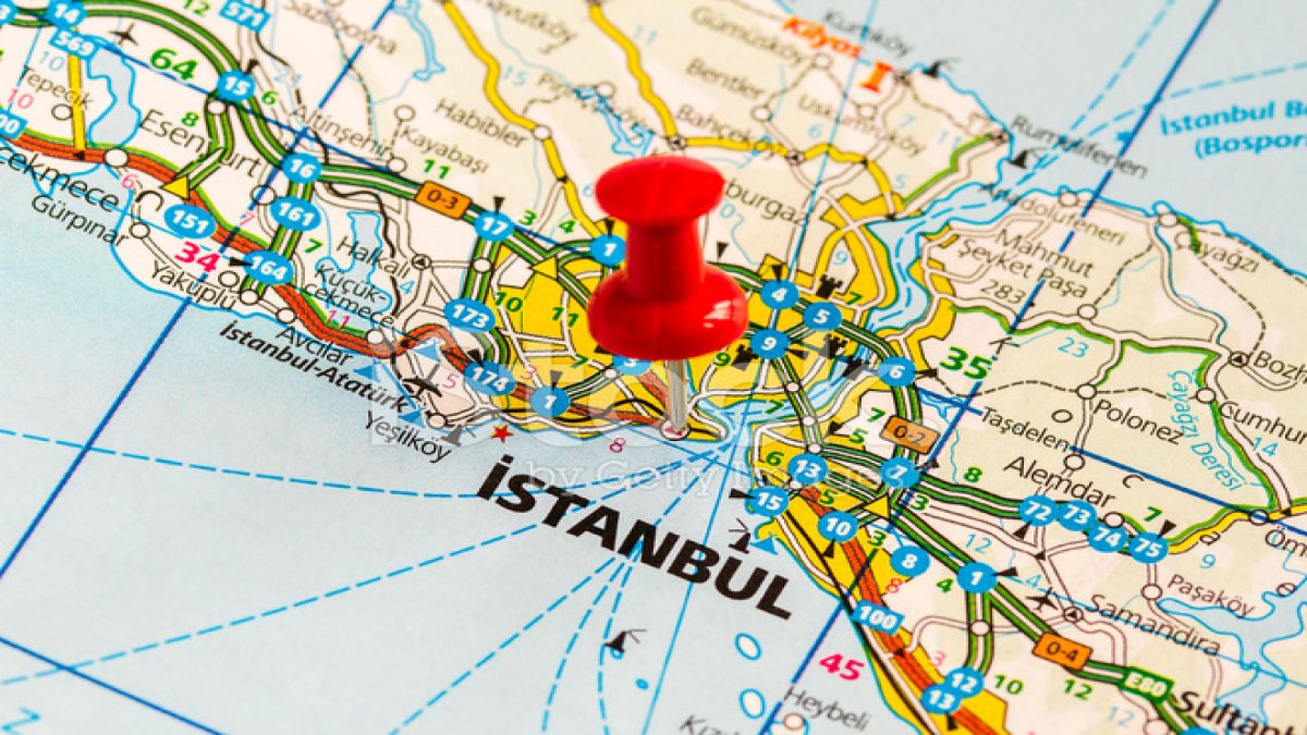 Sıcakla beraber topraktan çıkıyorlar! İstanbul'un göbeğinde korkunç görüntü: Bir tane değil kaç tane birden...