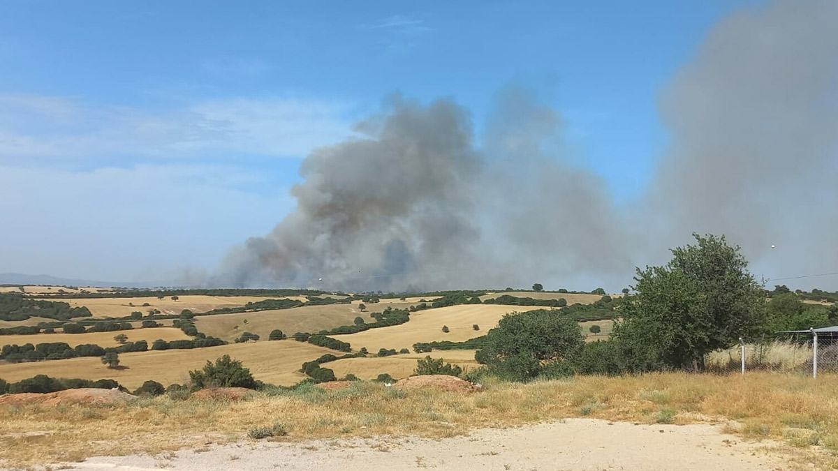 Çanakkale'de orman yangını