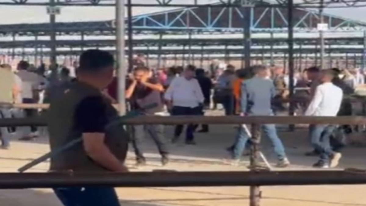 Siverek'te hayvan pazarında silahlı kavga! Ölü ve yaralılar var