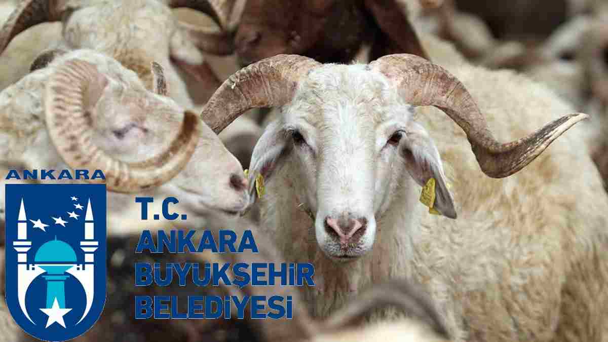 ABB ‘Bayramda etsiz ev kalmasın’ dedi! 2 gün sürecek, kentin 5 noktasında bekleyerek ihtiyaç sahiplerine ulaşacak