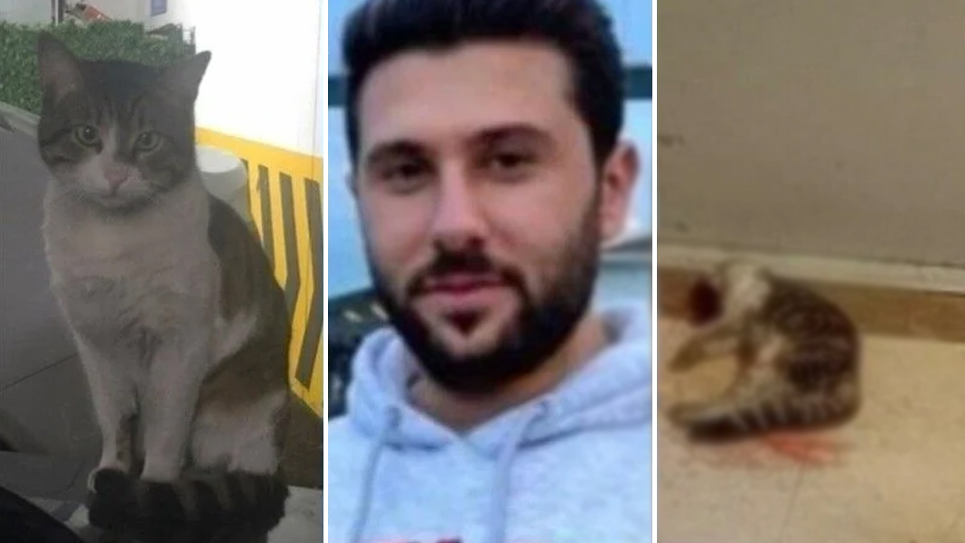İstinaf incelemeyi tamamladı: Kedi Eros'un katilinin hapis cezasına onama