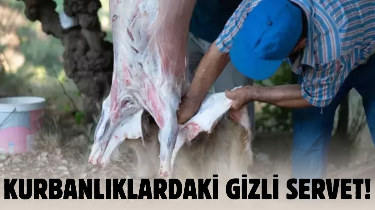Kurbanların o kısmını sakın atmayın, servet yatıyor! Yetkililer saklayın dedi ve uyardı: 30 milyar lira...