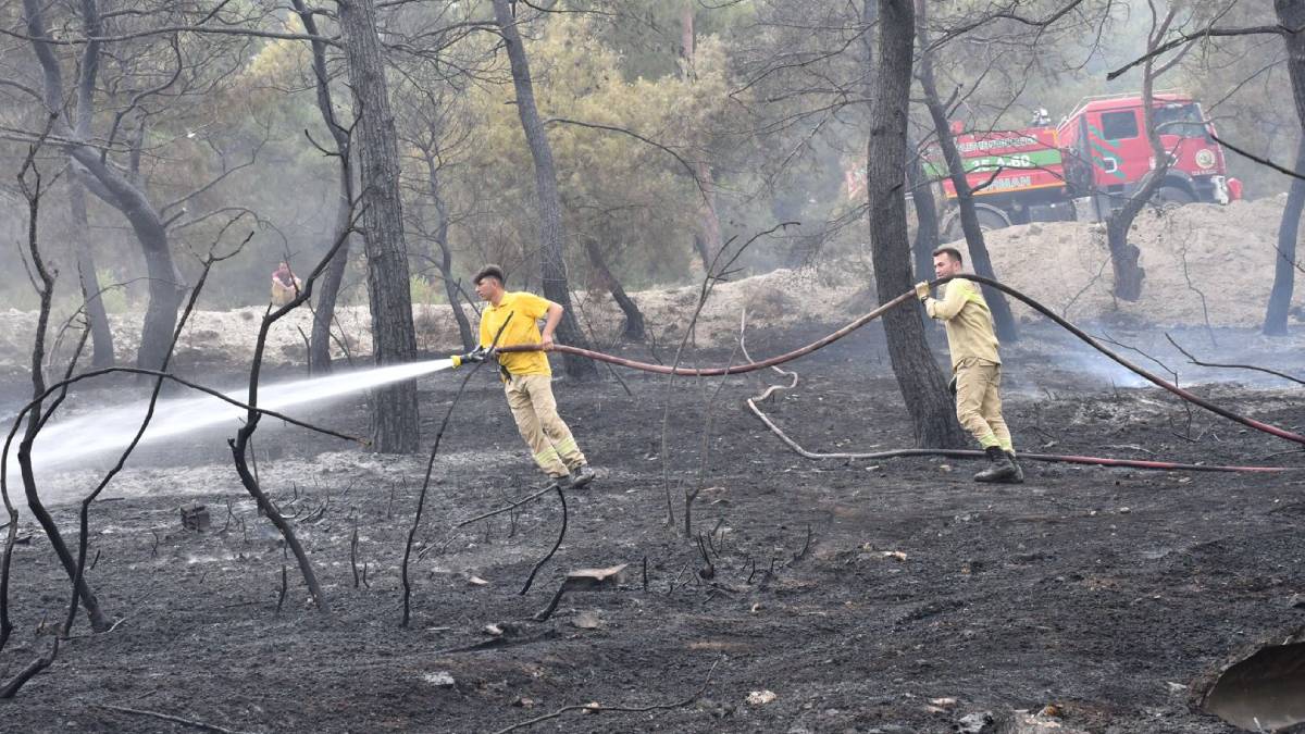 Büyükşehir itfaiyesi yangınlarla mücadeleye devam ediyor