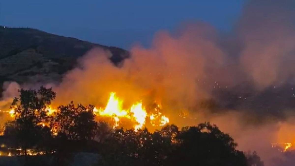 İzmir'de yangın: Müdahale ediliyor, bir mahalle tahliye edildi