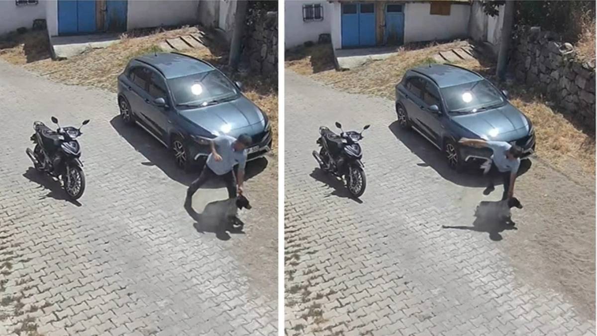 Balıkesir'de hayvana eziyet kamerada! Yatan köpeği sürükleyip tekmeler savurdu