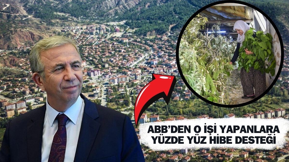 Ankara belediyesi o işi yapacaklara destek veriyor! Bunu babalar bile yapmaz: Yüzde yüz hibe müjdesi