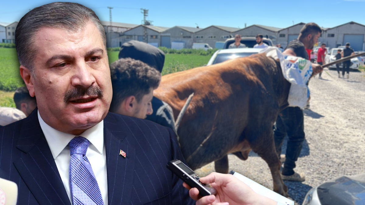 Bakan Koca duyurdu: Kurban kesimi sırasında 16 bin kişi yaralandı