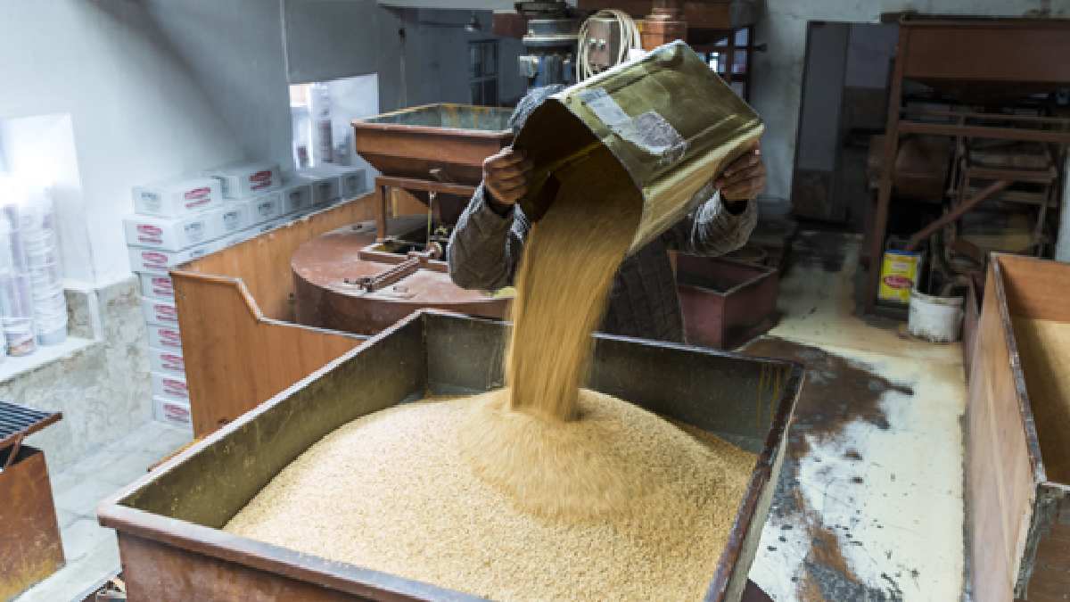 Balıkesir'den toplanıyor, katkı maddesi olmadan üretiliyor! Demir, çinko, potasyum, bakır  yok yok... Tam şifa deposu