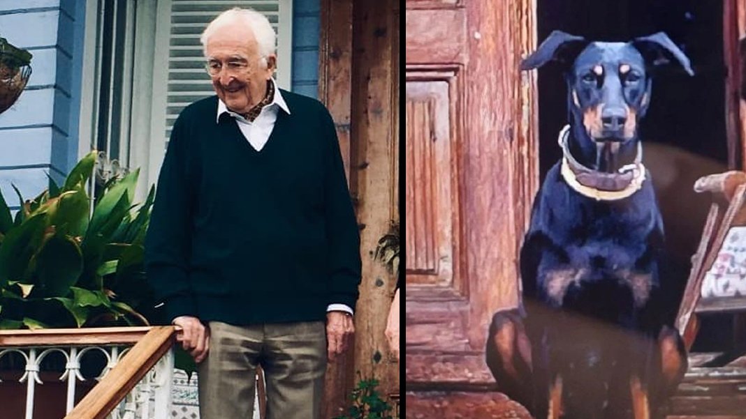 Ekonomist Korhan Berzeg'in ölümünde gizem sürüyor: Köpek Tine eve nasıl geri döndü?