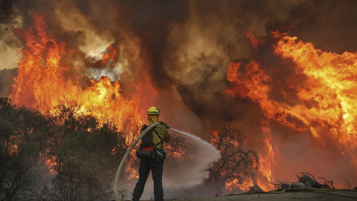 ABD'deki yangın durdurulamıyor: Orman yangınında 14 bin 625 dönüm alan kül oldu