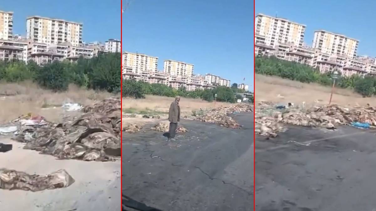 Kurban atıkları yol kenarında!