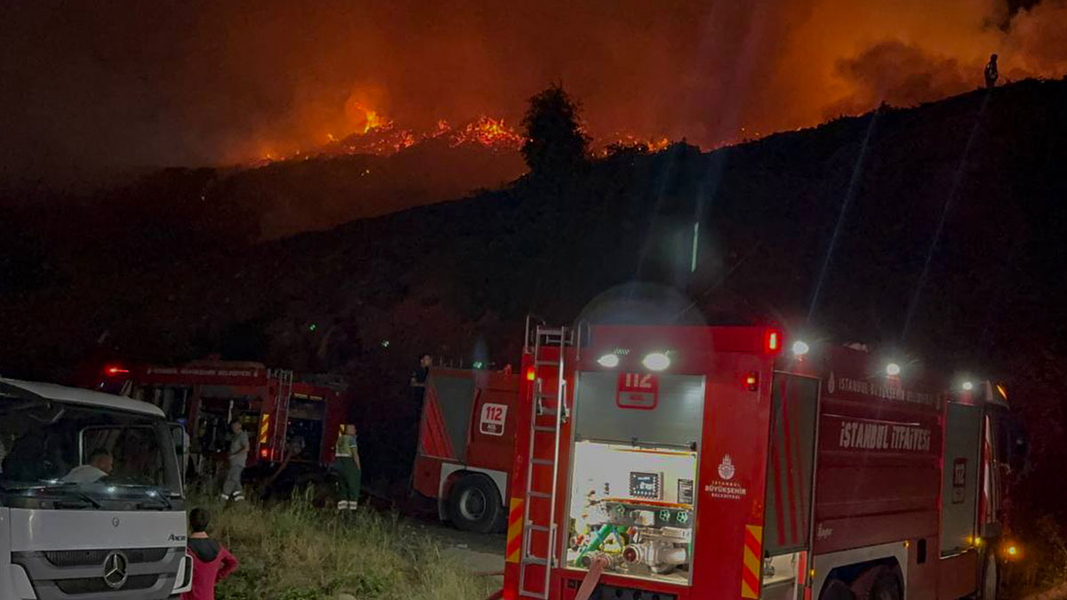 Sarıyer'de orman yangını: Kontrol altına alındı