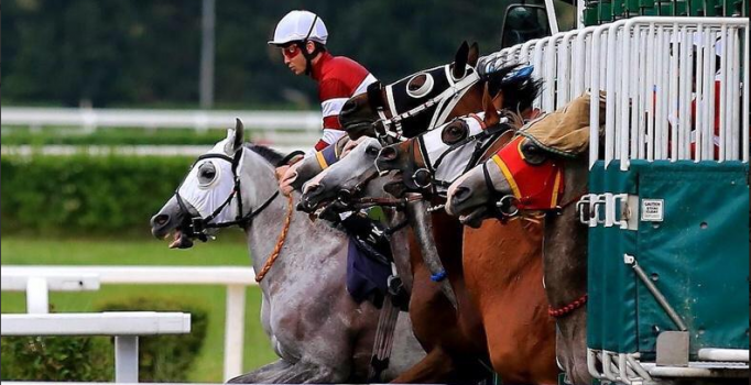 89. Gazi Koşusu'nda kazanan belli oldu