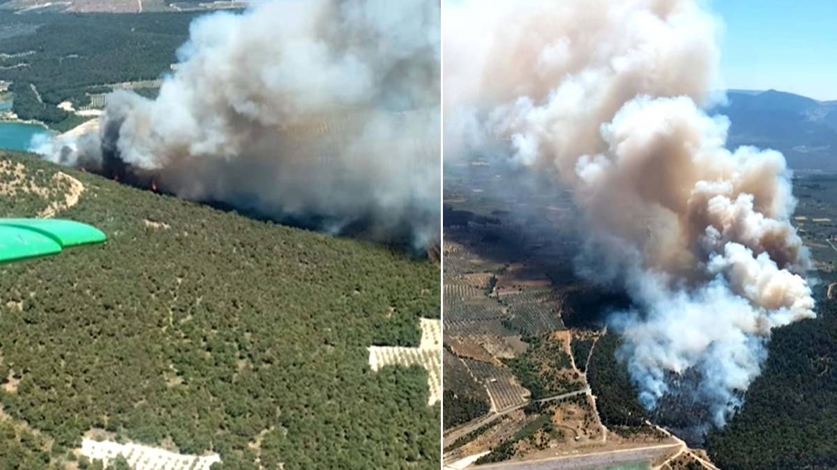 Manisa'da orman yangını