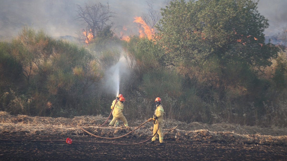 Çanakkale'deki orman yangını 24 saat sonra kontrol altında: 575 hektarlık alan kül oldu