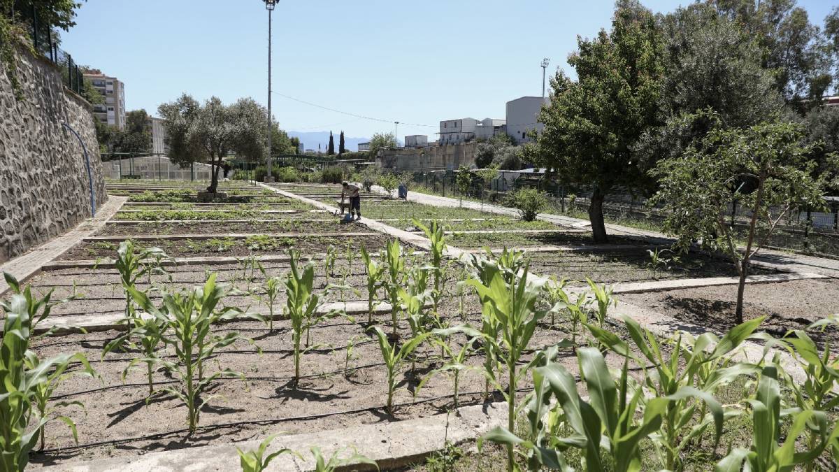 Karşıyaka’da tohumlar toprakla buluştu