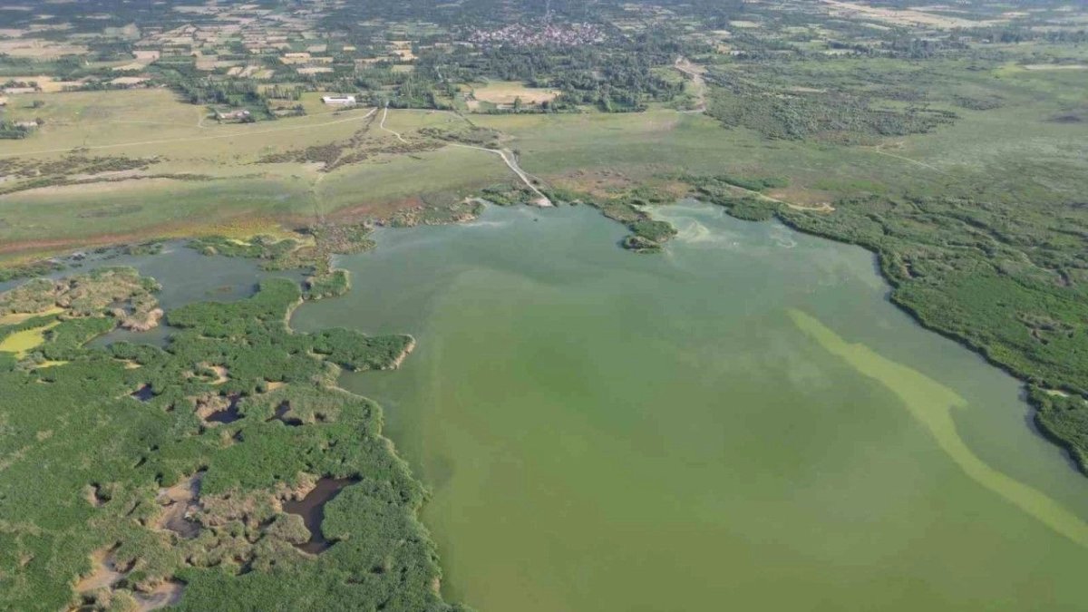 Türkiye'nin en büyük göllerinden birisi küçülme tehlikesiyle karşı karşıya! İki katından fazla küçüldü: Adacık sayıları arttı