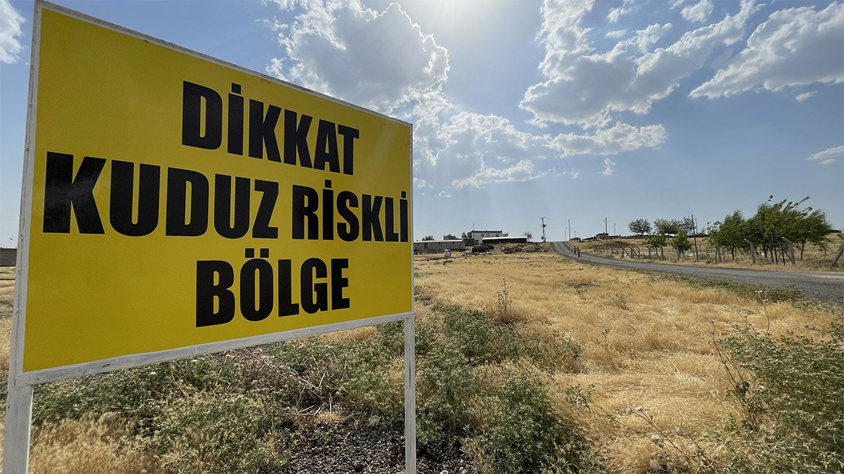 Şanlıurfa'da kuduz karantinası! 10 gün boyunca giriş çıkış yasak