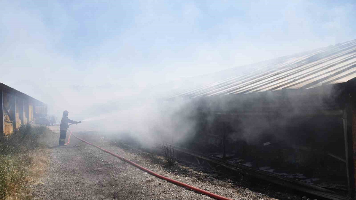 Bolu'da kümeste facia! 20 bin civciv öldü