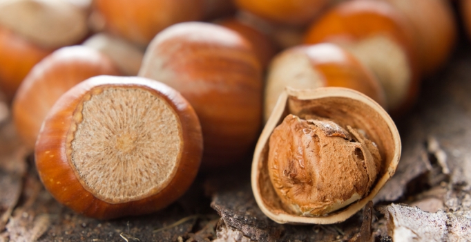 Fındık fiyatını 
üretici belirleyecek