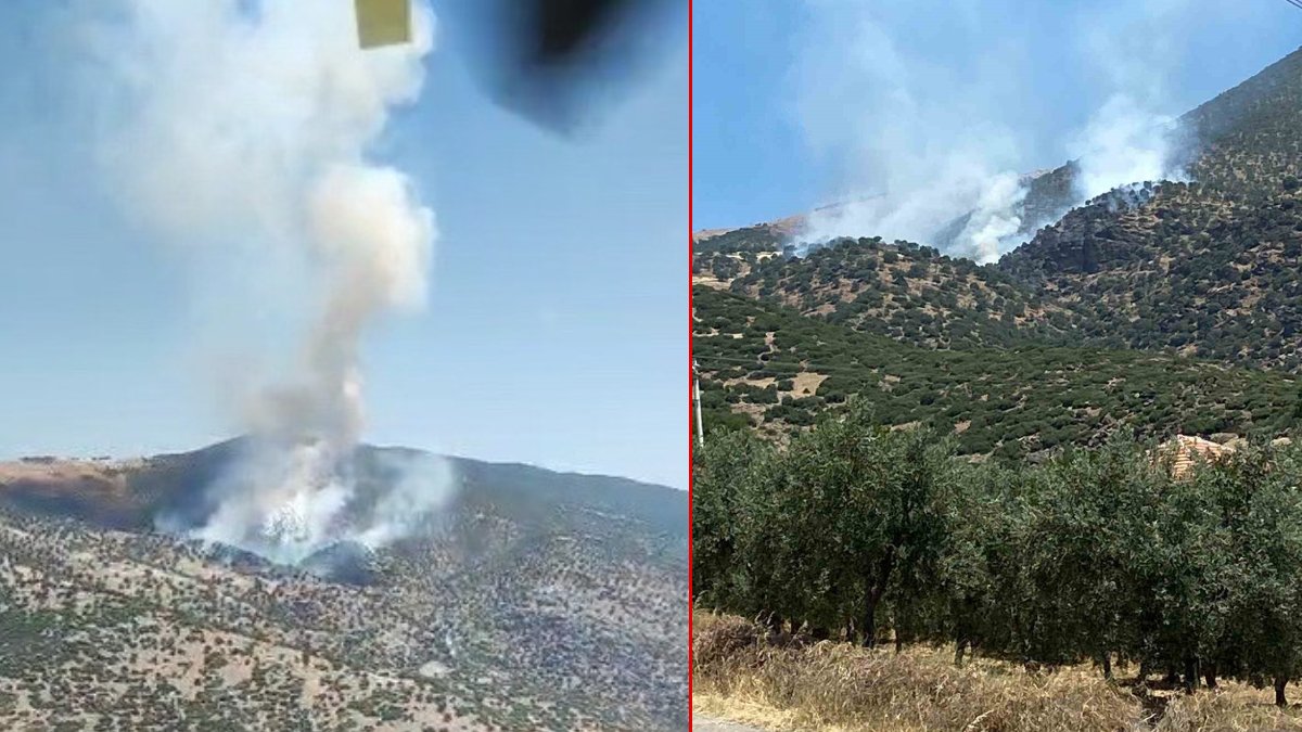 Manisa'da orman yangını