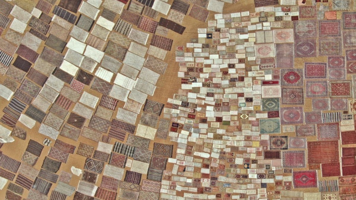 O ilde halı tarlası görsel şölen oluşturdu! Yüzde 99'u ABD'ye ihraç ediliyor: Renk renk, desen desen