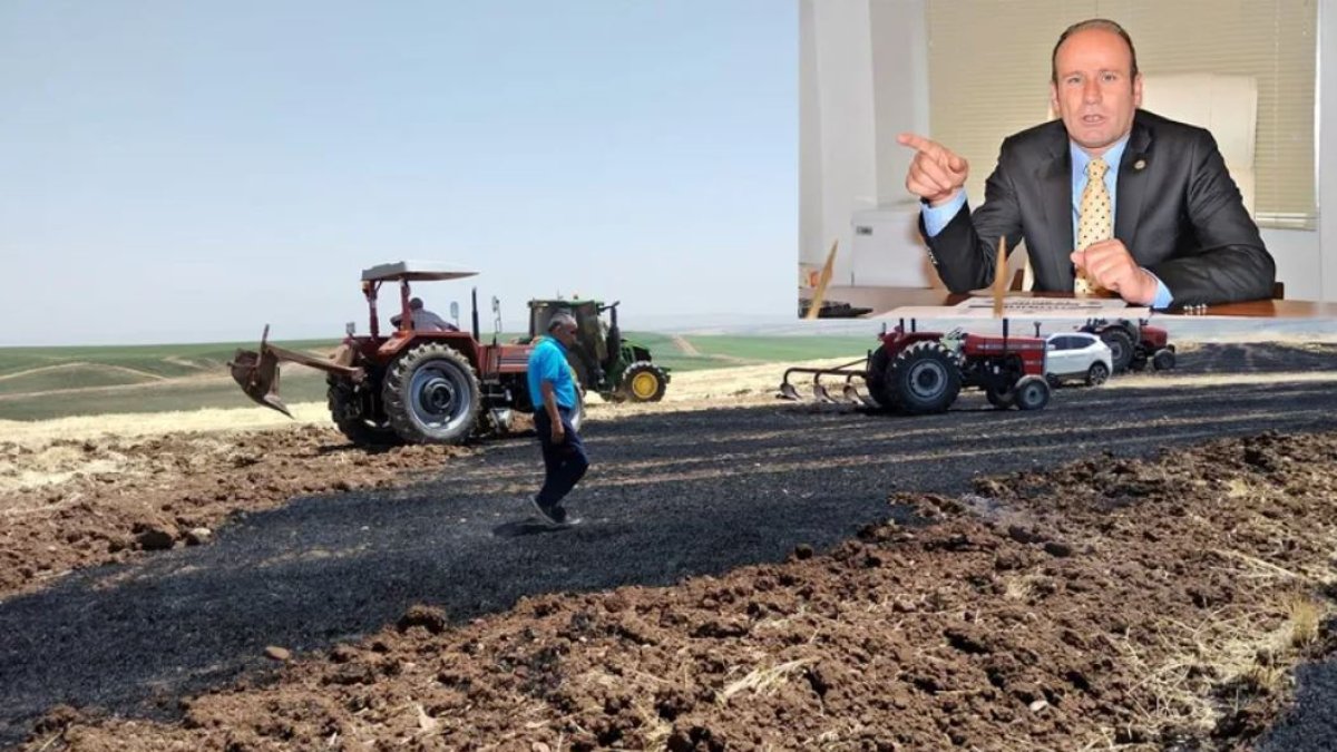 Diyarbakır Ziraat Odası Başkanı Delil: Zarar büyük, afet bölgesi ilan edilsin