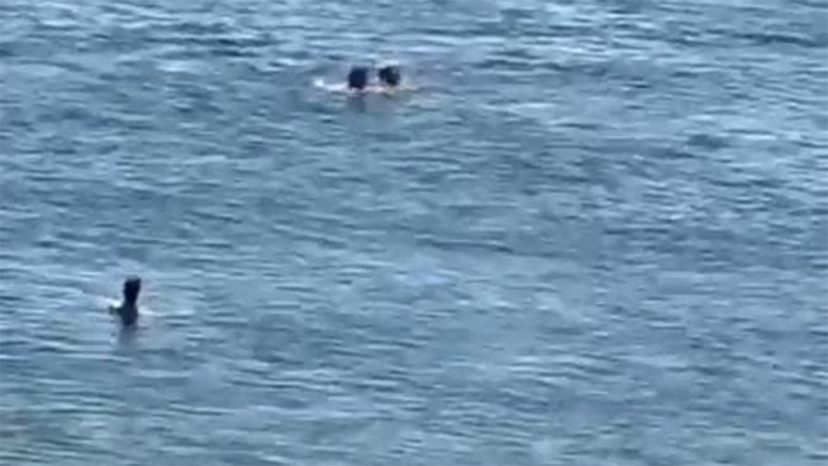 Avcılar'da korku dolu anlar! Boğulmaktan son anda kurtarıldı