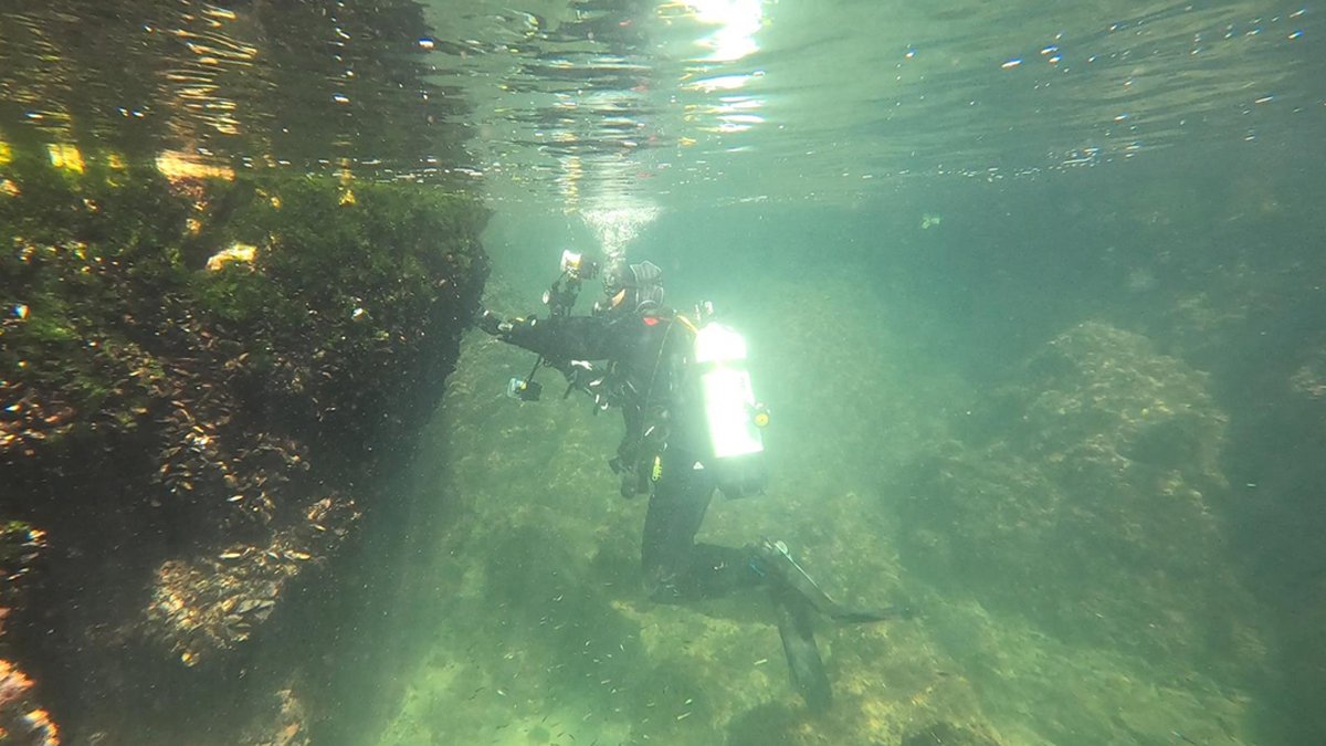 Uzmanından son uyarı: Marmara'da ekolojik felaket kapıda