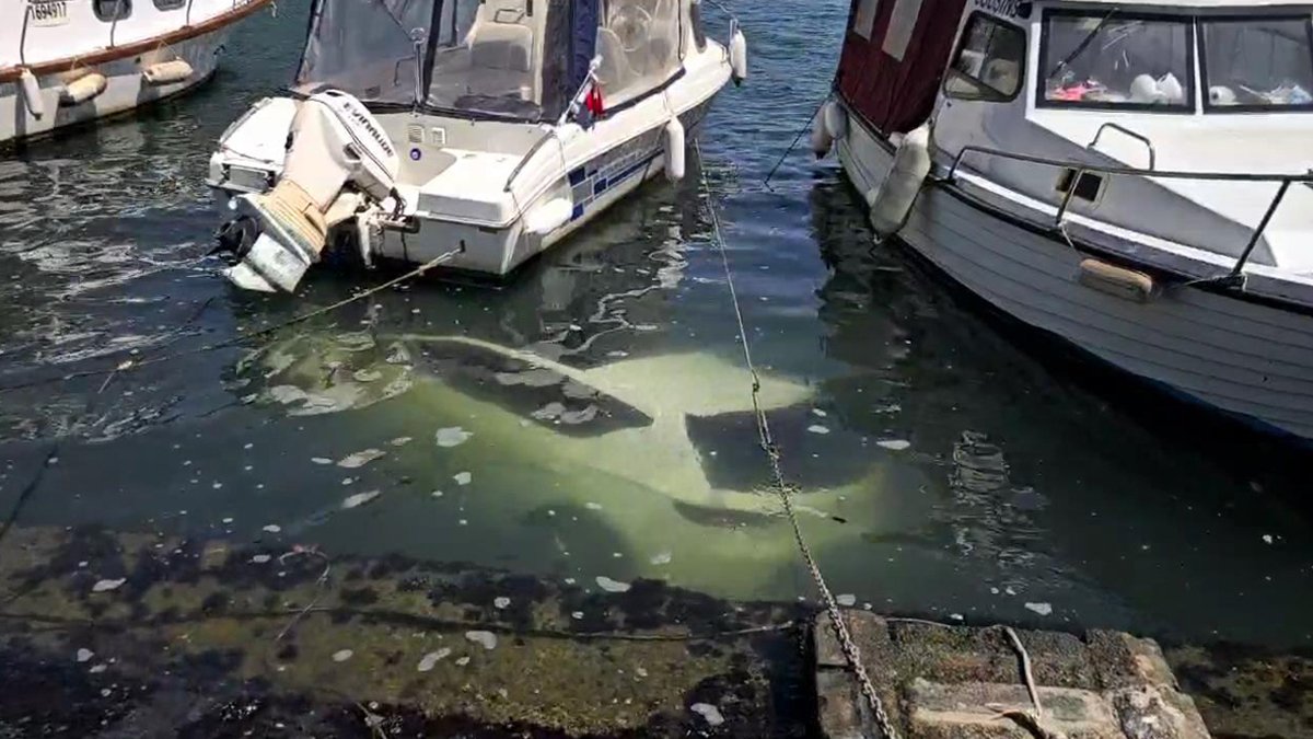 Eyüpsultan'da faciaya ramak kala: Otomobil denize düştü