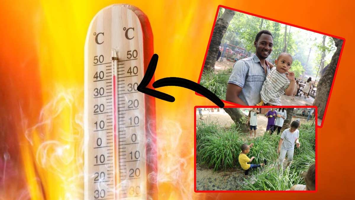 Afrikalılar bile Türkiye sıcağına dayanamadı! O ilimizden 50 derecelik rekor: "Afrika'da bile böyle sıcak yok"