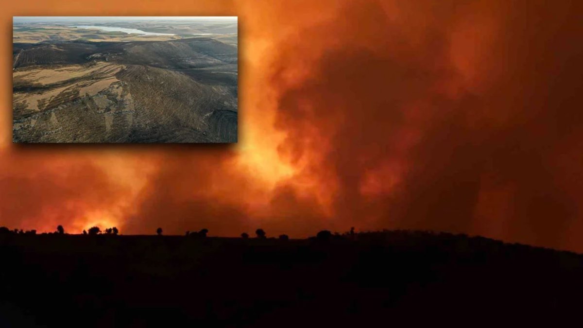 Diyarbakır ve Mardin'deki yangının zararı 700 milyon lira: Aileler, maddi ve manevi tazminat davası açacak