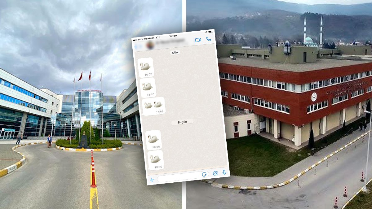 Bolu'daki skandalı ilaç mümessili ifşa etti: Doktorlar hasta sağlığını kuğu emojisiyle sattı