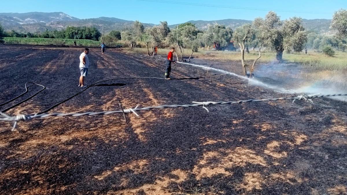 Büyükşehir Belediyesi’nden anız yangınlarına karşı uyarı